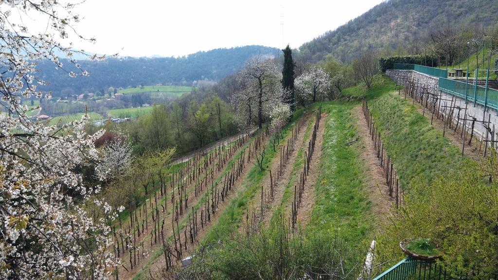 Agriturismo Il Mirabile Bed & Breakfast Trescore Balneario Exterior photo