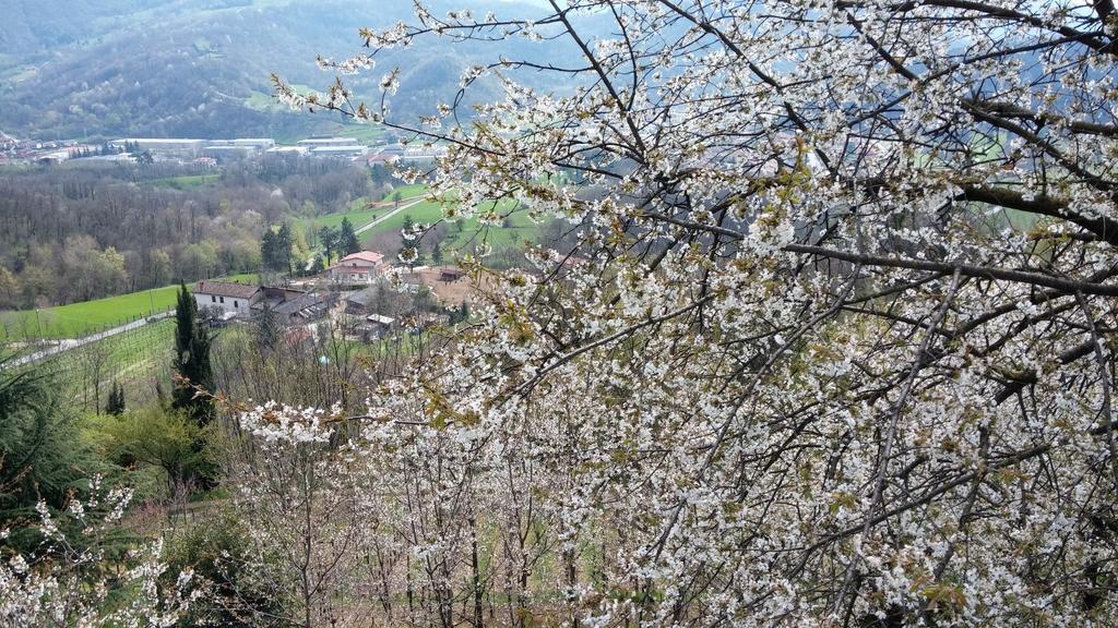 Agriturismo Il Mirabile Bed & Breakfast Trescore Balneario Exterior photo